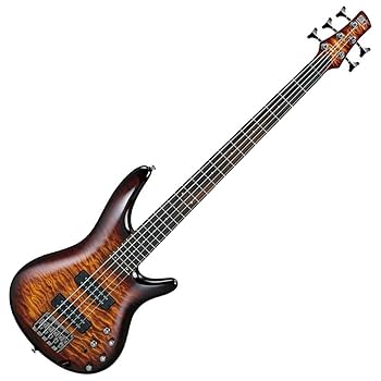 Amazon.com: Ibanez SR405E SR Standard 5-String - Dragon Eye